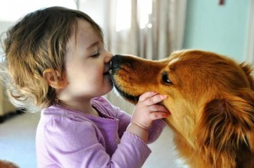 nhiễm giun từ chó